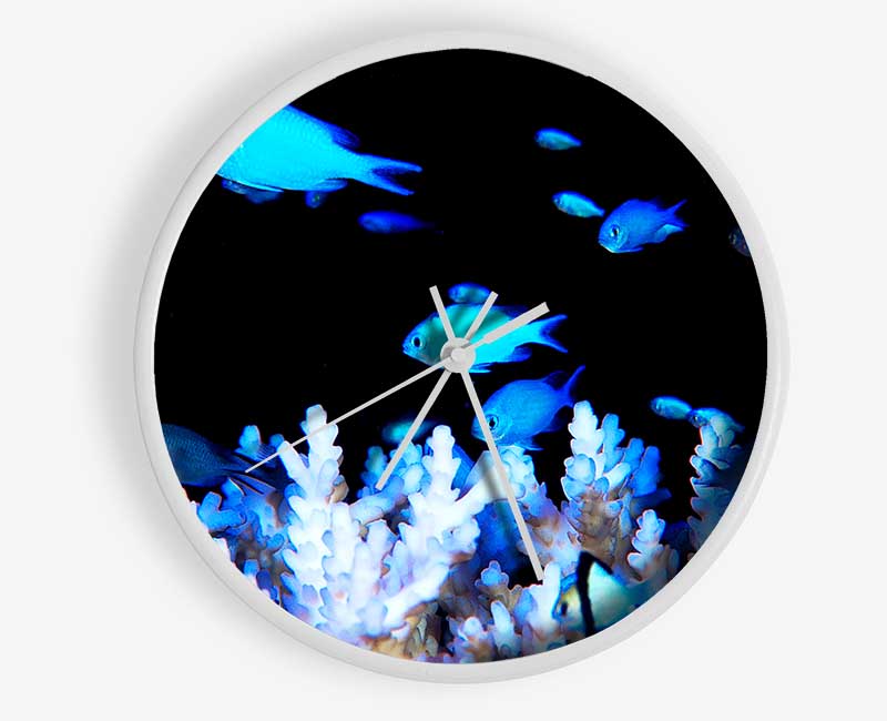 Neon Fish Clock - Wallart-Direct UK