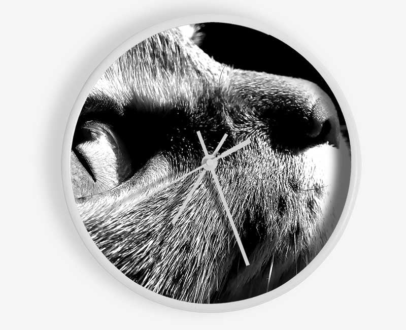 Nostalgic Cat Clock - Wallart-Direct UK