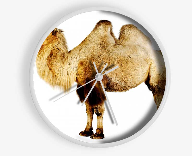 One Hump Or Two Clock - Wallart-Direct UK