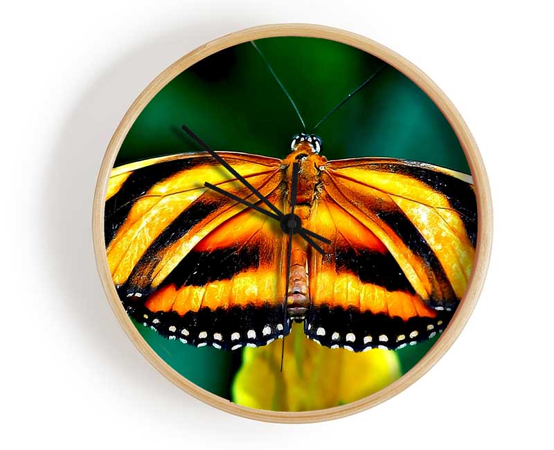 Orange And Black Butterfly Clock - Wallart-Direct UK