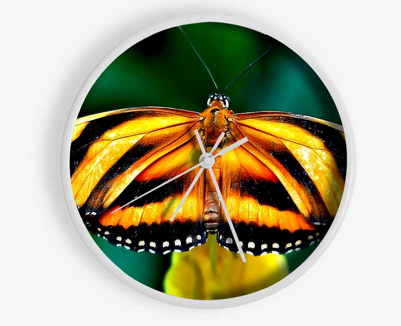 Orange And Black Butterfly Clock - Wallart-Direct UK