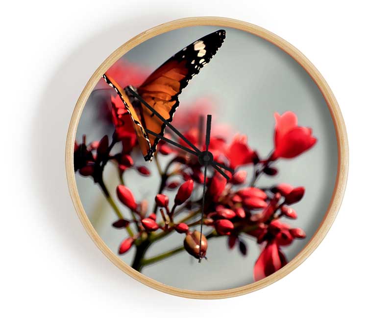 Orange Butterfly On Flower Clock - Wallart-Direct UK