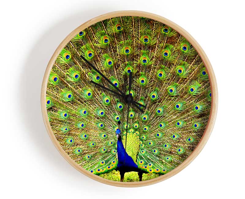 Peacock Paradise Clock - Wallart-Direct UK