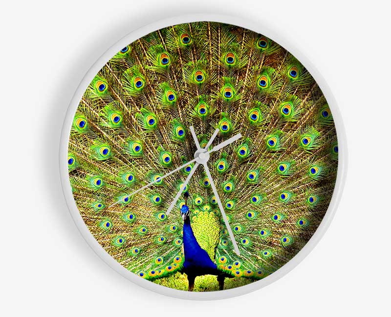Peacock Paradise Clock - Wallart-Direct UK