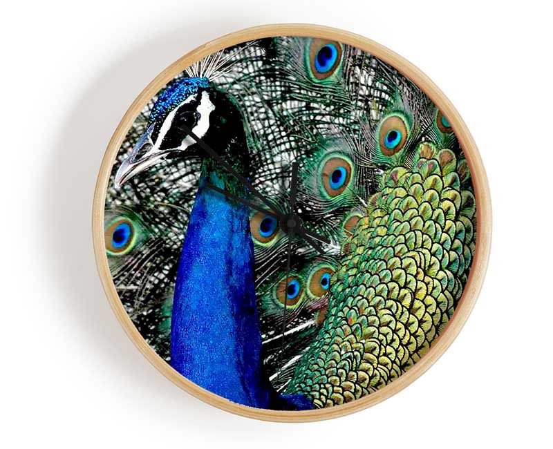 Peacock Stare Clock - Wallart-Direct UK