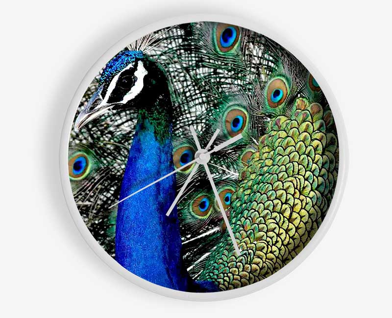 Peacock Stare Clock - Wallart-Direct UK