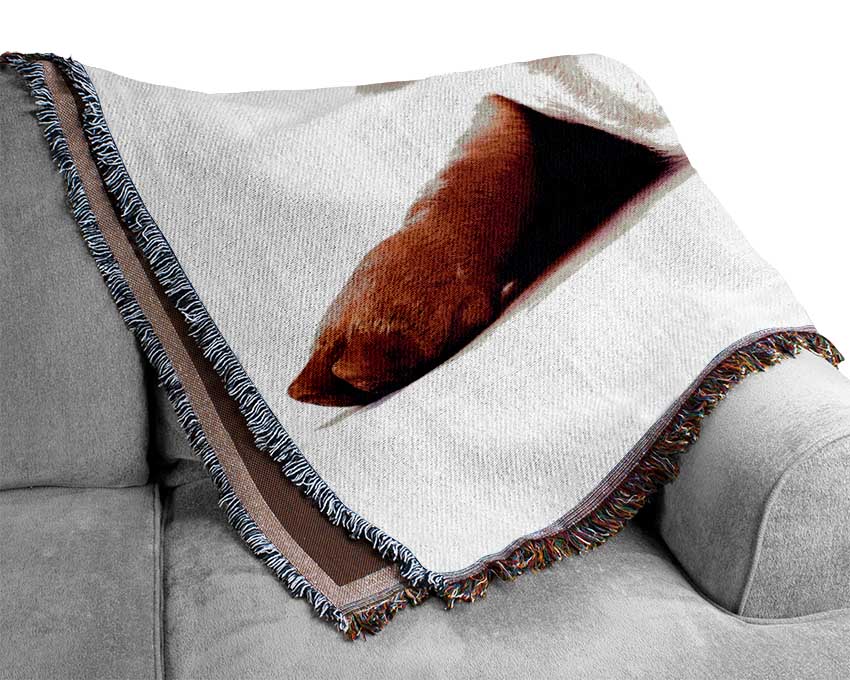 Pig Portrait Woven Blanket