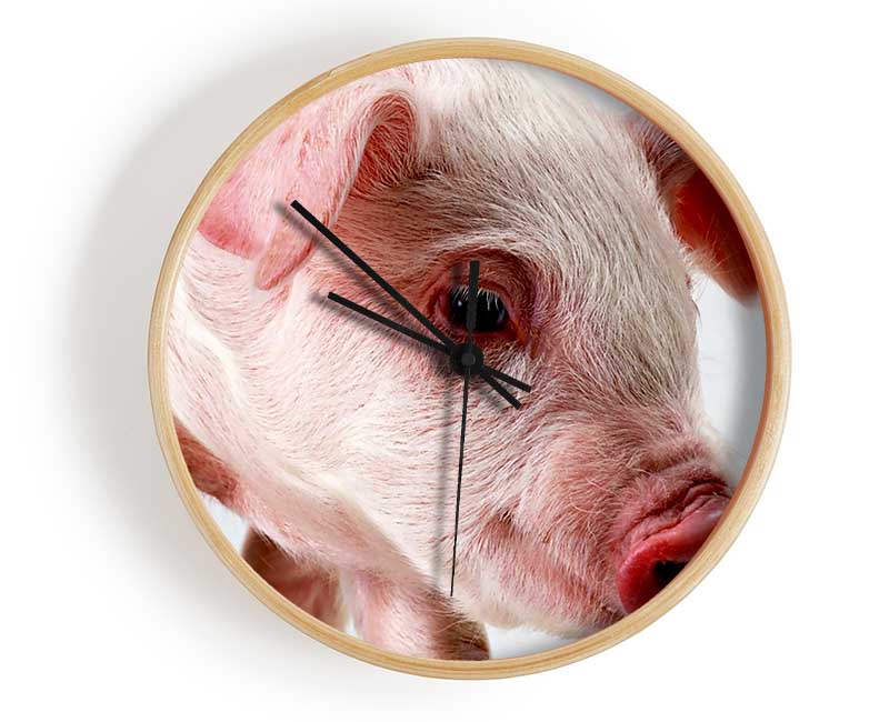 Pink Pig Clock - Wallart-Direct UK