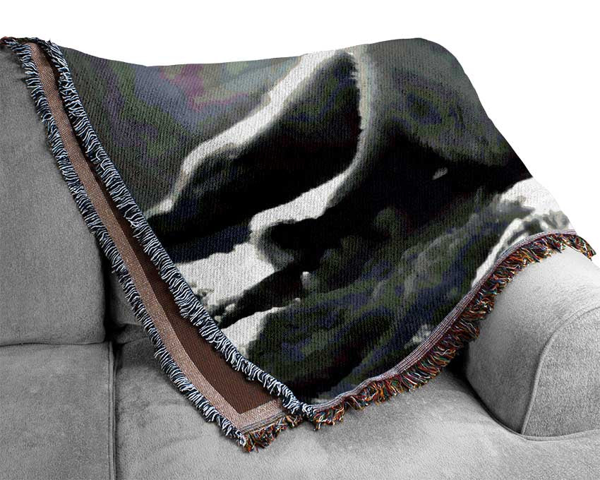 Seal Pup Woven Blanket