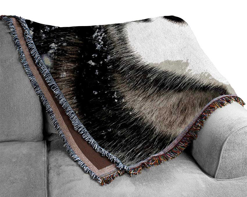 Siberian Husky Wolf Woven Blanket