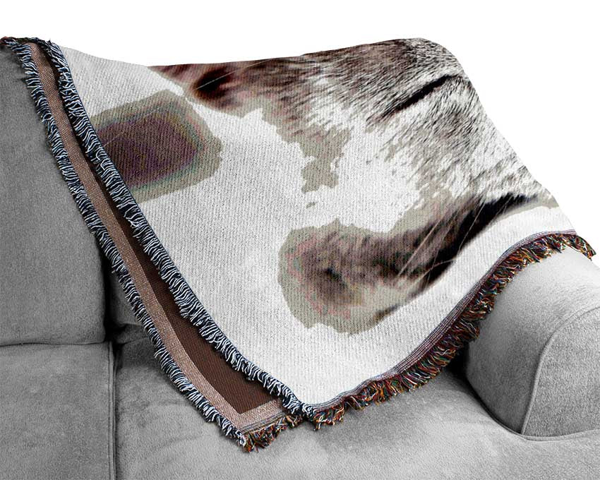 Sleepy Grey Kitten Woven Blanket