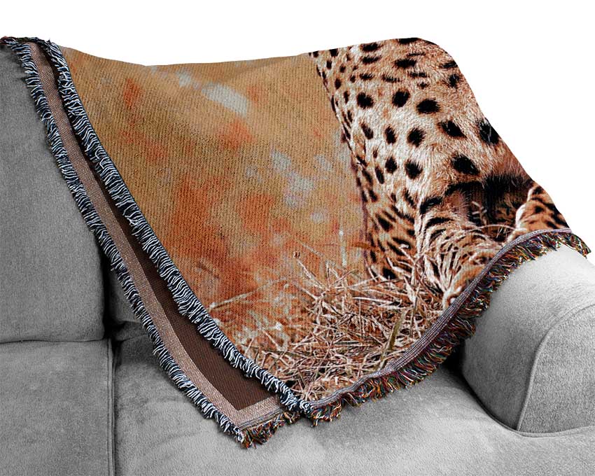 South African Cheetahs Woven Blanket