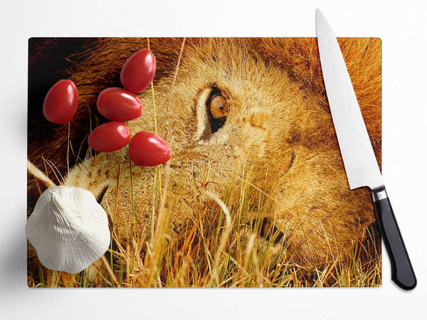 The Eye Of Lion Glass Chopping Board