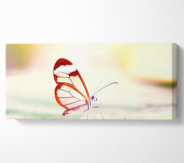 Transparent Winged Butterfly
