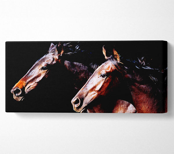 Twin Stallions