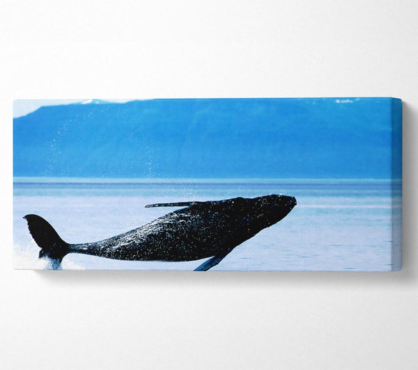 Whale Of A Time