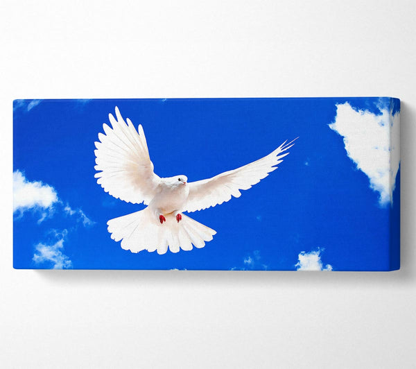 White Dove