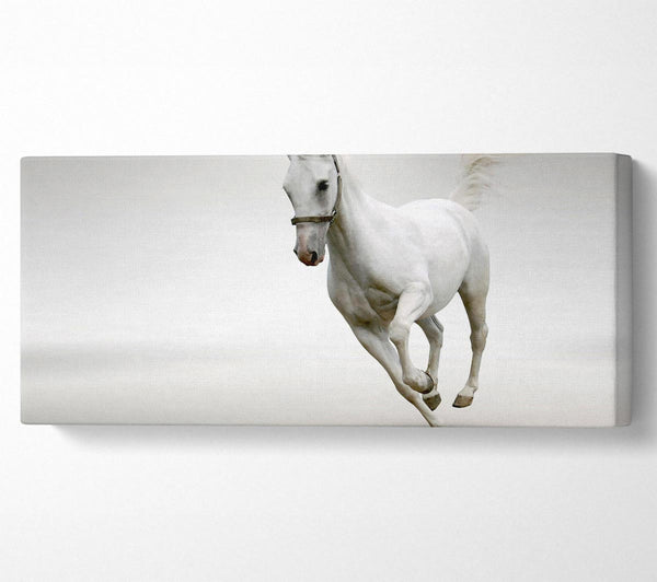 White Horse Running