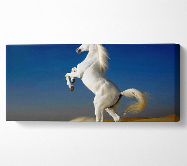 White Horse Stance