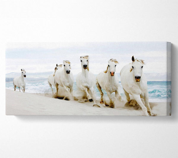 White Ocean Horses