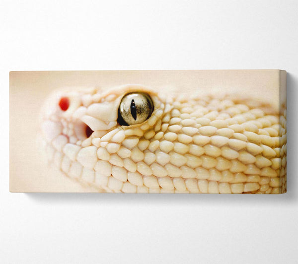 White Snake