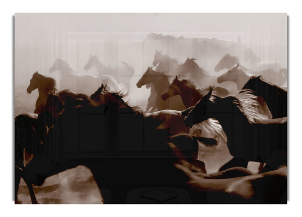Wild Horses Running