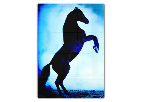 Wild Stallion In The Moonlight