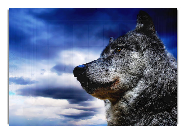 Wolf Skies