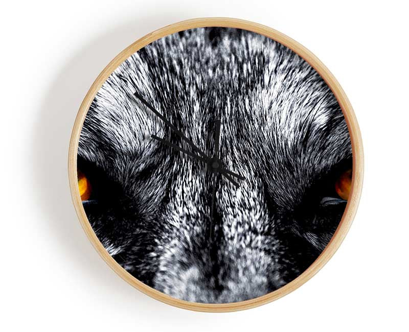 Yellow Wolf Eyes Clock - Wallart-Direct UK