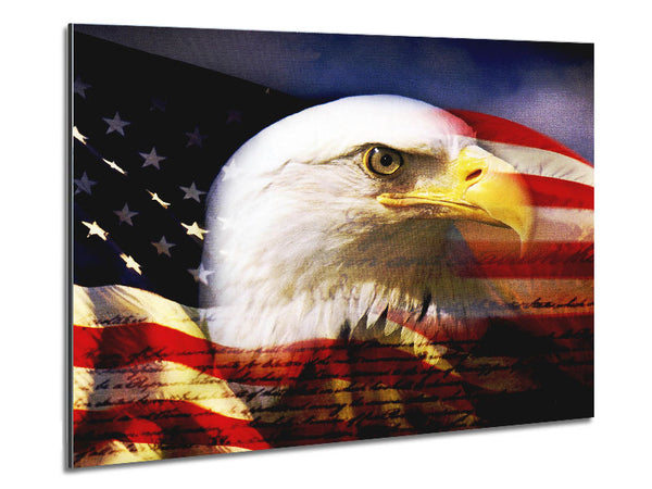 American Eagle Flag Metal Print