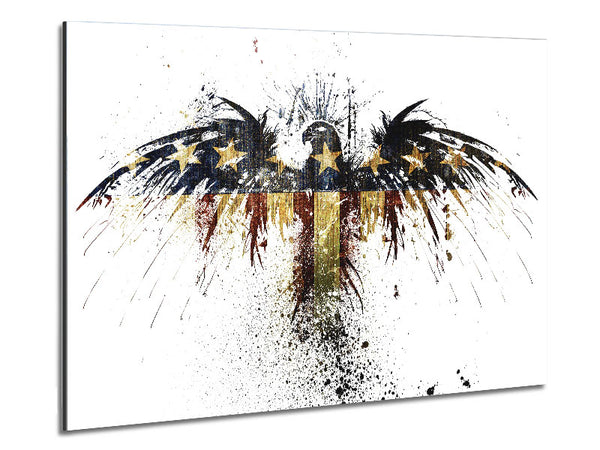 American Eagle 2 Metal Print