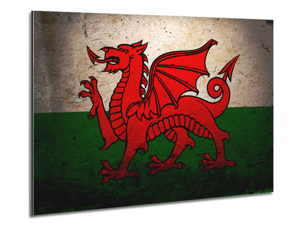 Dragon Of Wales Metal Print