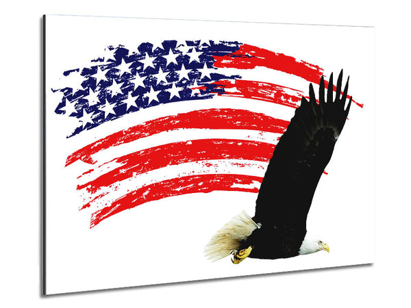 Eagle Freedom Metal Print