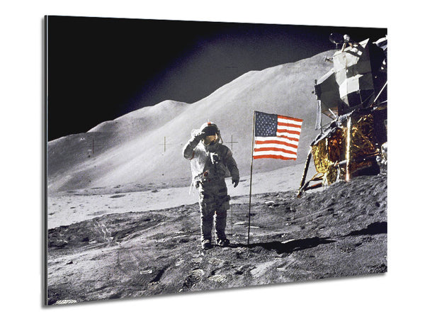 David Scott Gives Salute Metal Print