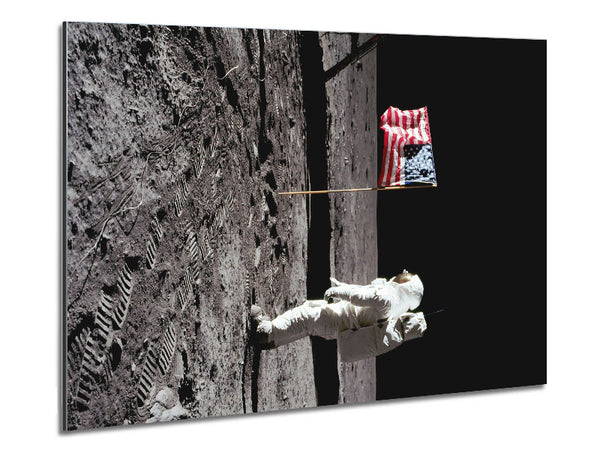 Buzz Salutes The American Flag Metal Print