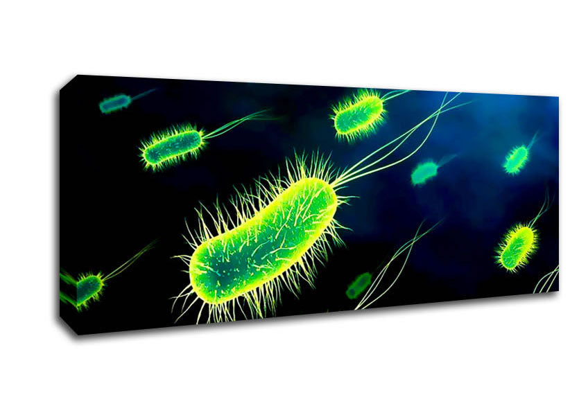 Picture of Manifestation Panoramic Canvas Wall Art