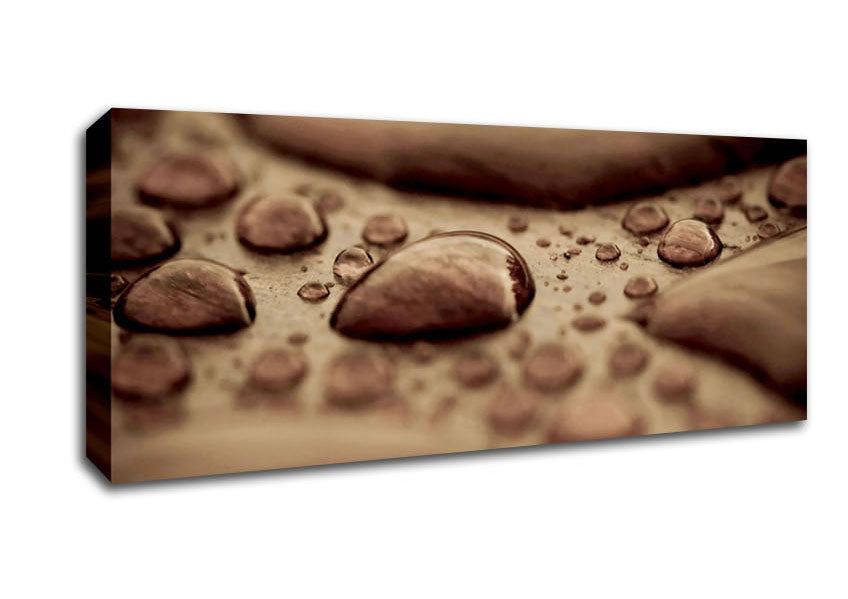 Picture of Chocolate Raindrop Panoramic Canvas Wall Art