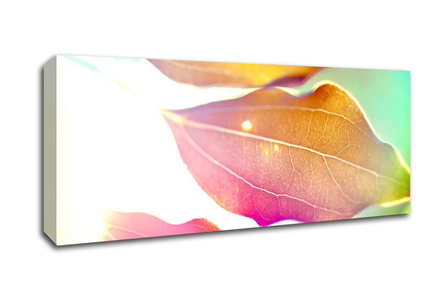 Picture of Coloured Leaves Panoramic Canvas Wall Art
