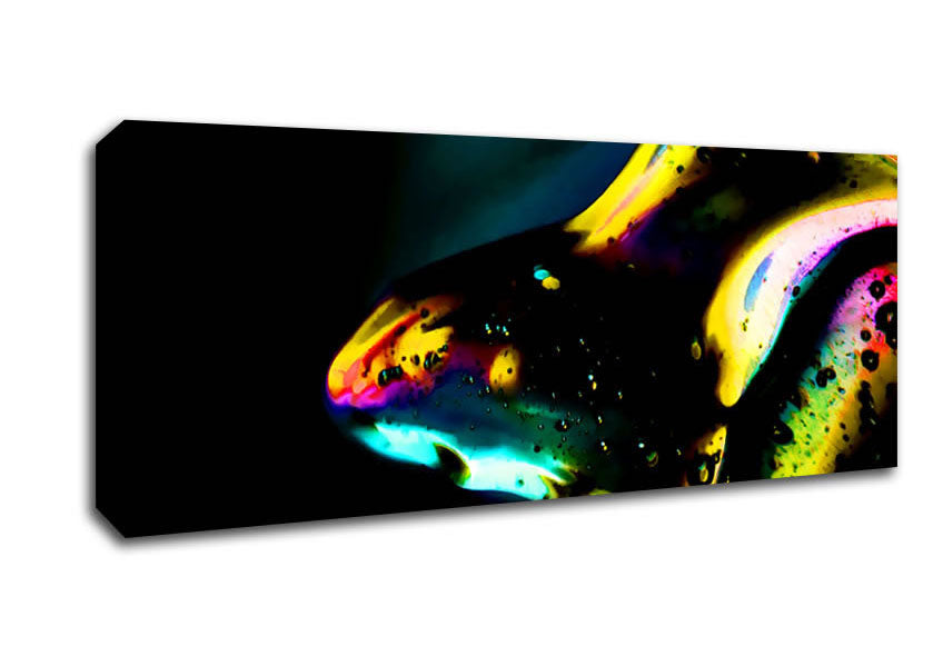 Picture of Dewdrops Panoramic Canvas Wall Art