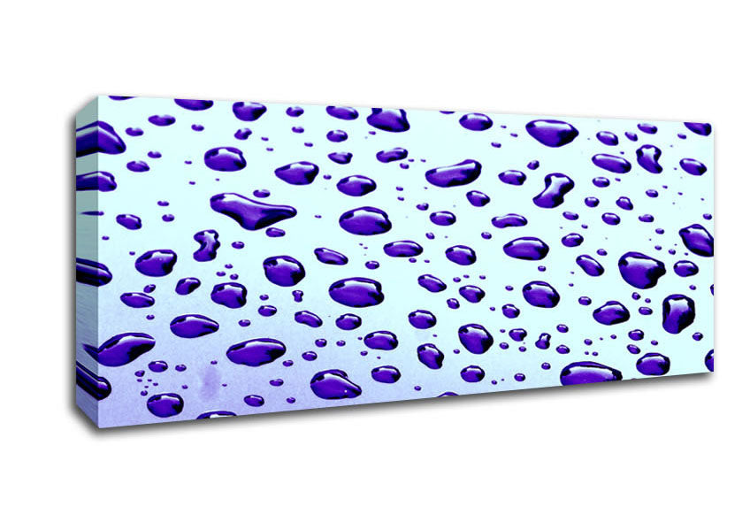 Picture of Purple Raindrops Panoramic Canvas Wall Art