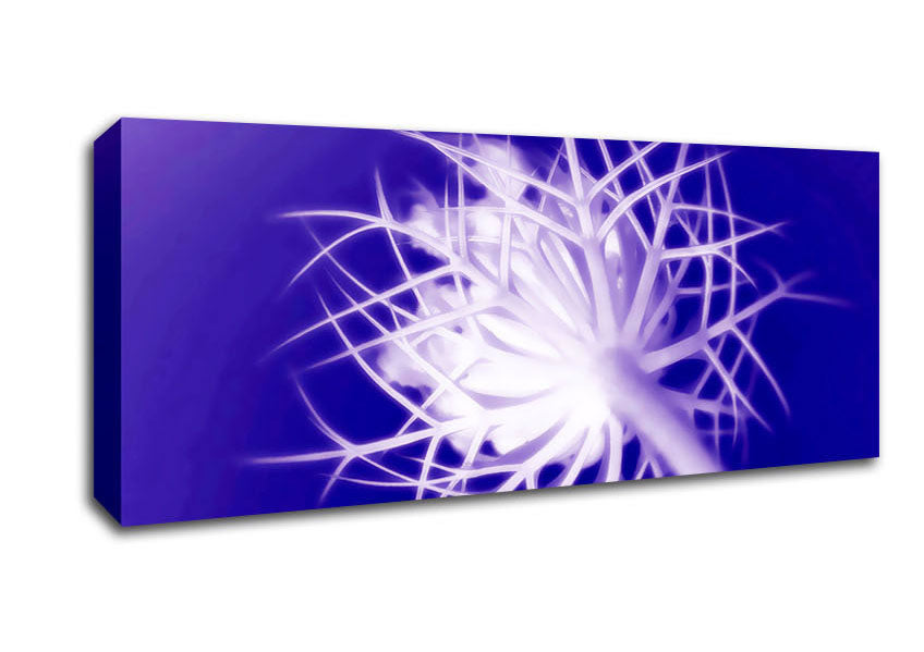 Picture of Purple Thorns Panoramic Canvas Wall Art