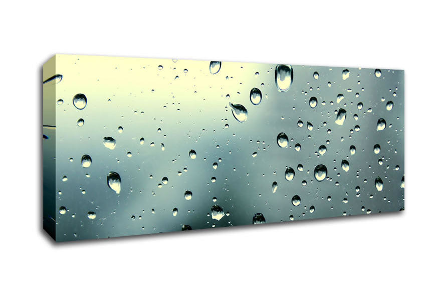 Picture of Rain Drops At Dusk Panoramic Canvas Wall Art