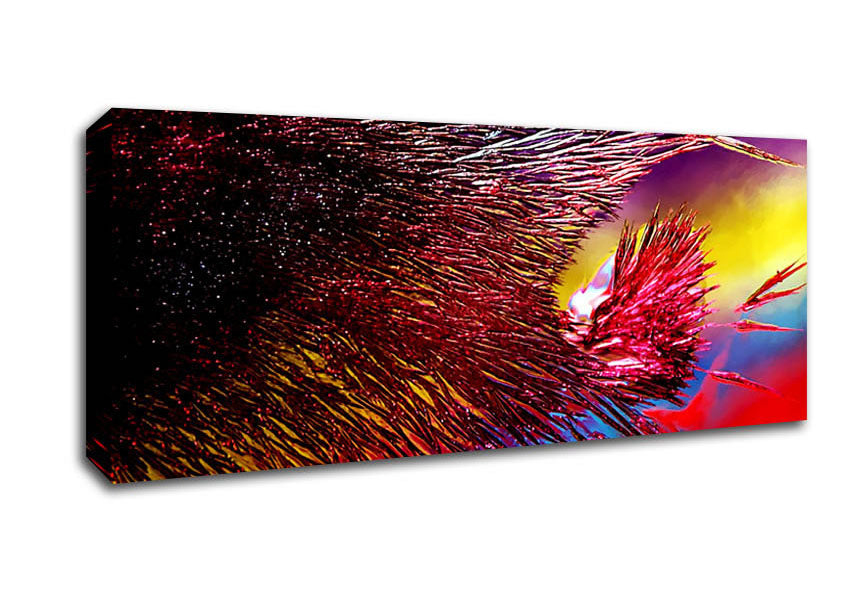 Picture of Rainbow Feathers Panoramic Canvas Wall Art