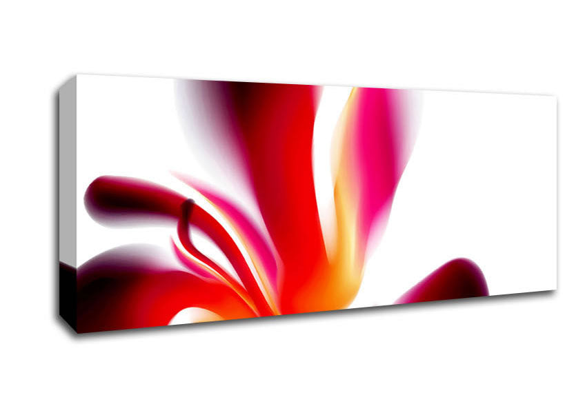 Picture of Raspberry Ripple Panoramic Canvas Wall Art