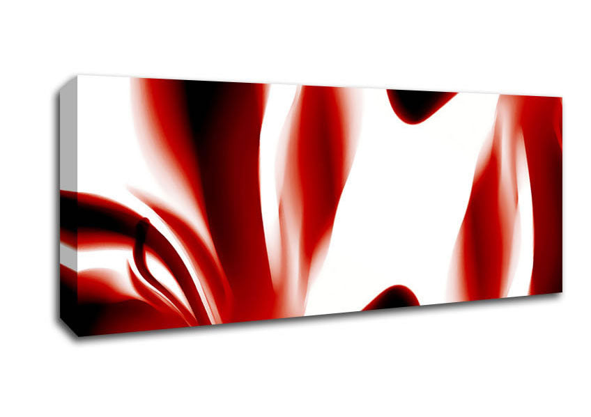 Picture of Red Raspberry Ripple Panoramic Canvas Wall Art