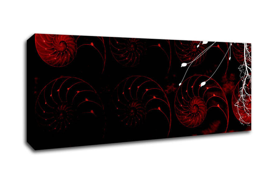 Picture of Red Shell Delight Panoramic Canvas Wall Art