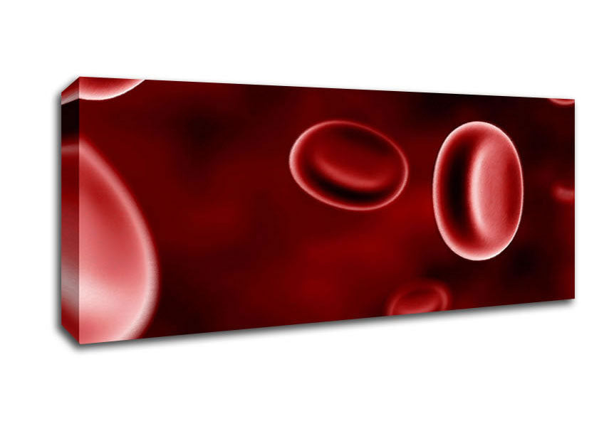 Picture of Red Spheres In Motion Panoramic Canvas Wall Art