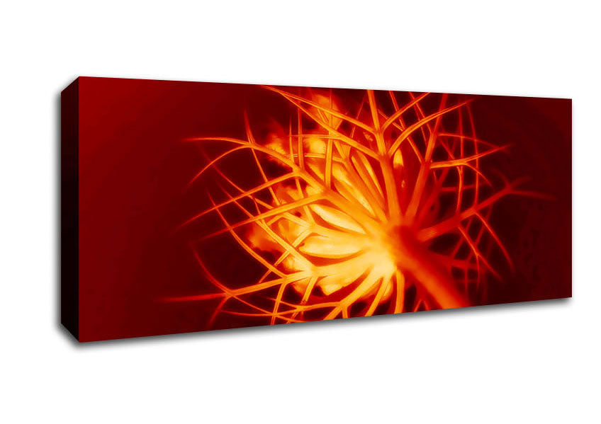 Picture of Red Thorns Panoramic Canvas Wall Art
