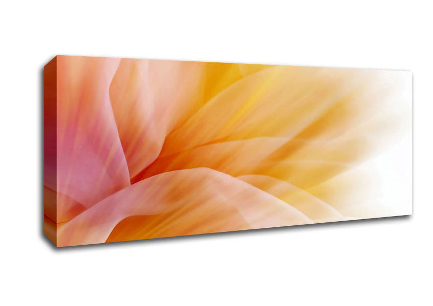 Picture of Soft Silk Reflections Panoramic Canvas Wall Art