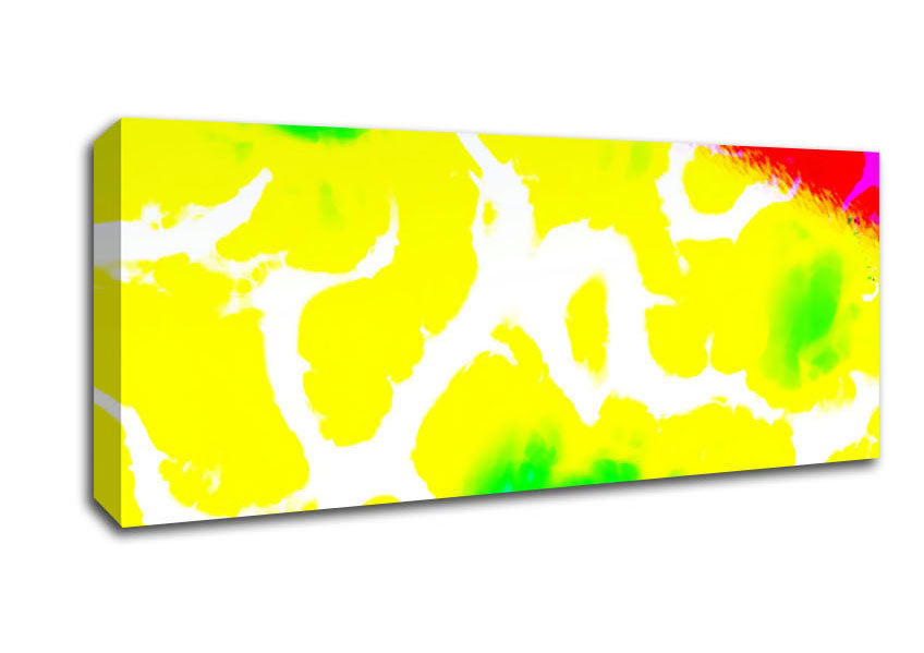 Picture of The Red Edge Panoramic Canvas Wall Art
